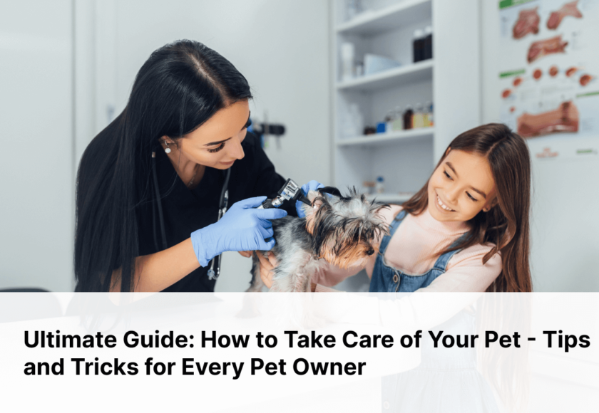 Pet Care Tips