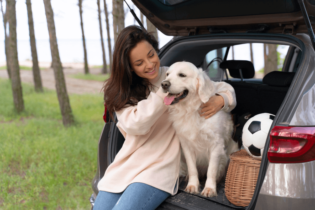 Pet Transport Tips