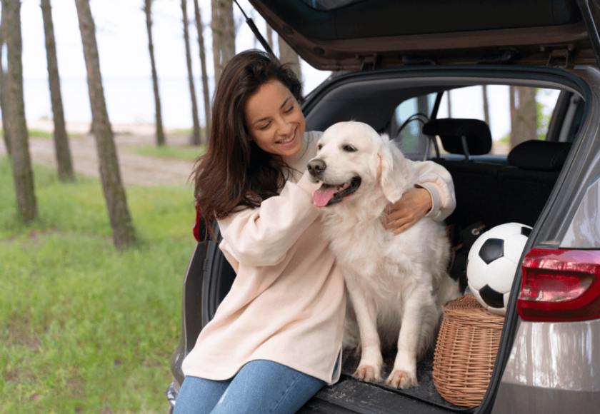 Pet Transport Tips